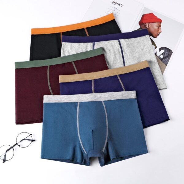 Boxer Caballero 34360