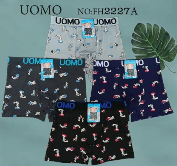 Boxer FH2227-A