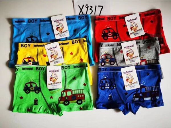 Boxer X9317