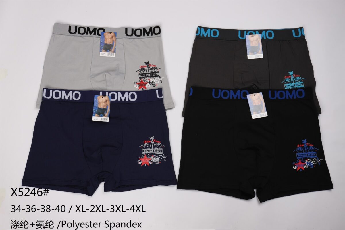 Boxer Caballero X5246